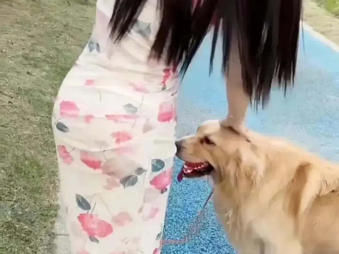 《抖音香香公主与爱犬金毛》高能日常互动完整版在线高清免费观看-无广告网盘资源秒播 《抖音香香公主与爱犬金毛》直播回放吃瓜