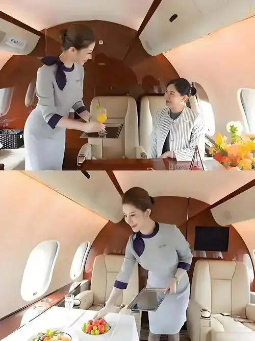《私人航空/法国航空》未删减版哪里找-高清在线观看法国电影私人航空/法国航空-完整版免费播放无弹窗